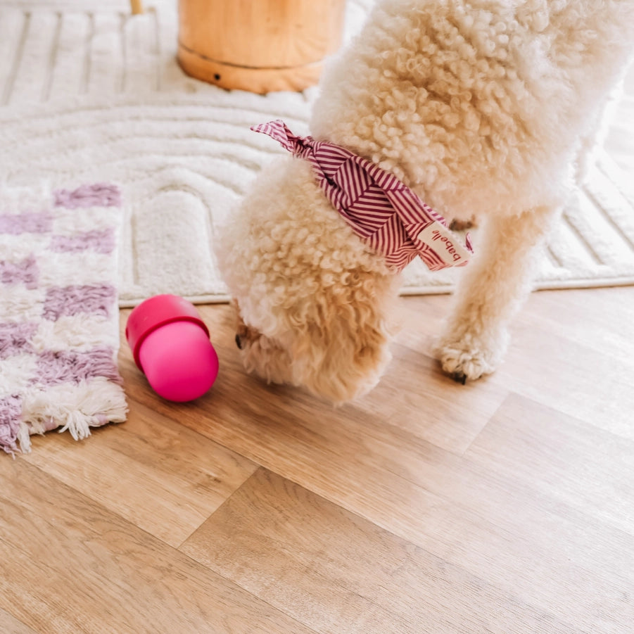 The Fun Feeder Snackdispenser - Babelle