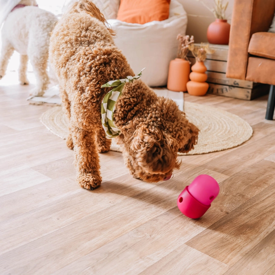 The Fun Feeder Snackdispenser - Babelle