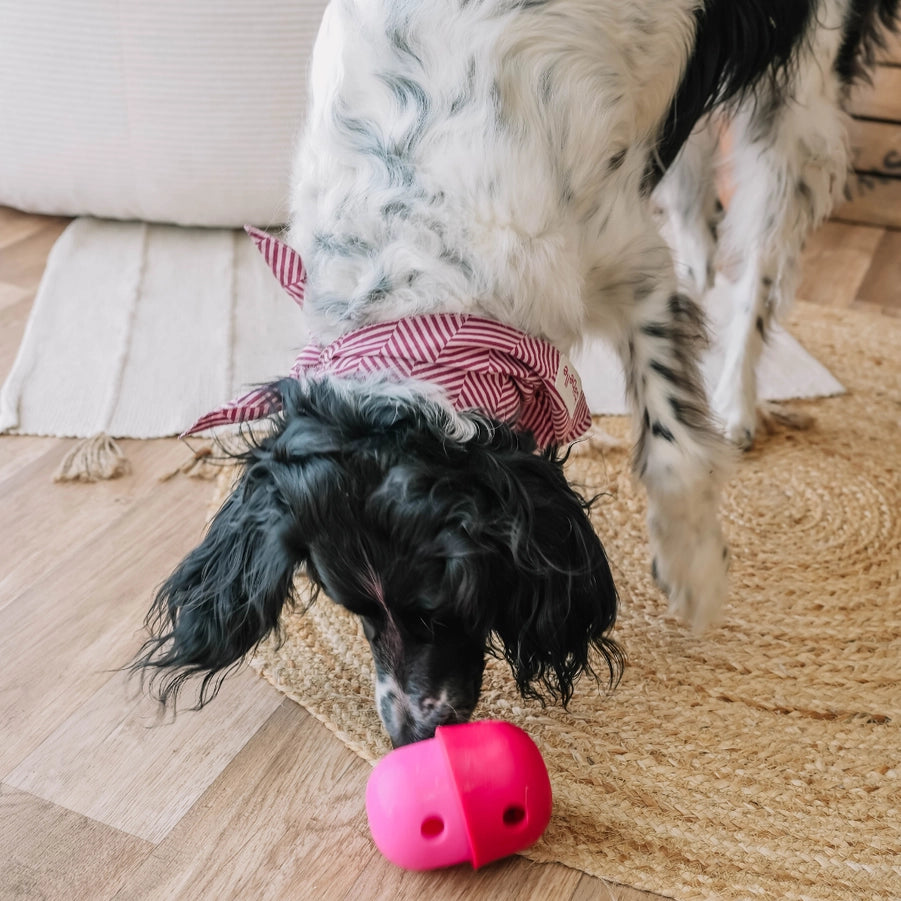 The Fun Feeder Snackdispenser - Babelle