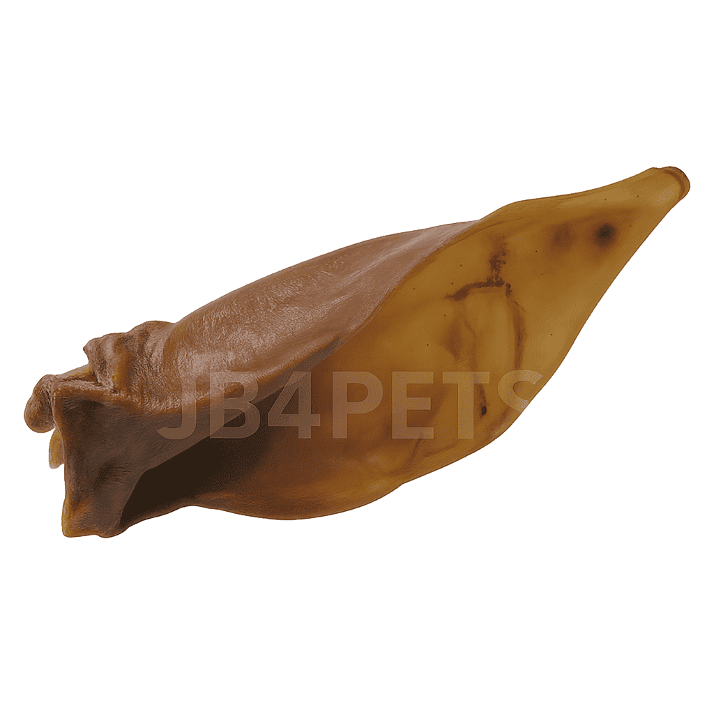 Snack Essentials Box (M/L) – voor honden vanaf 10 kg