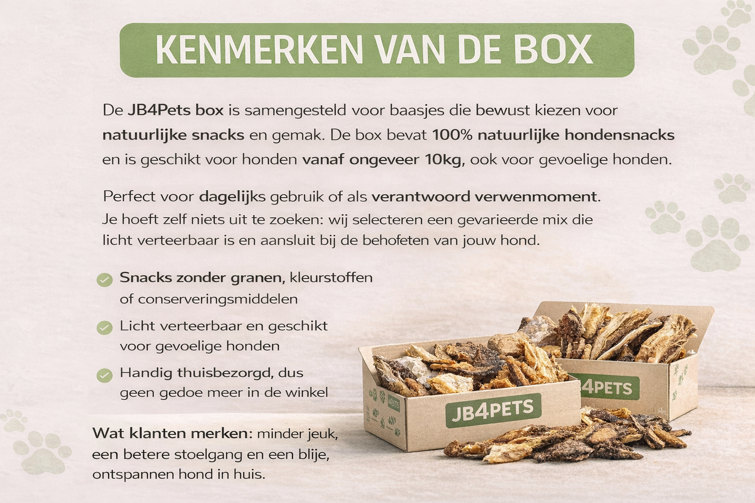 Snack Essentials Box (M/L) – voor honden vanaf 10 kg