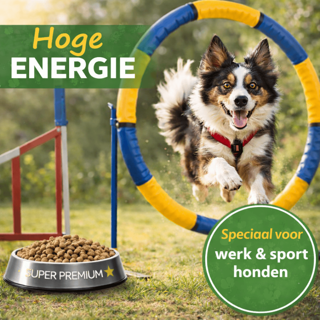 Complete Care Super Premium Hoge Energie