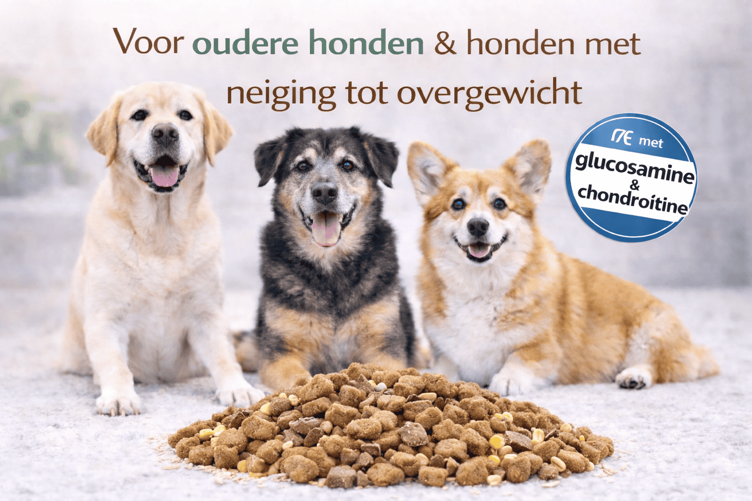 Complete Care Super Premium Senior/Light Lam & Rijst - 1kg TESTVERPAKKING