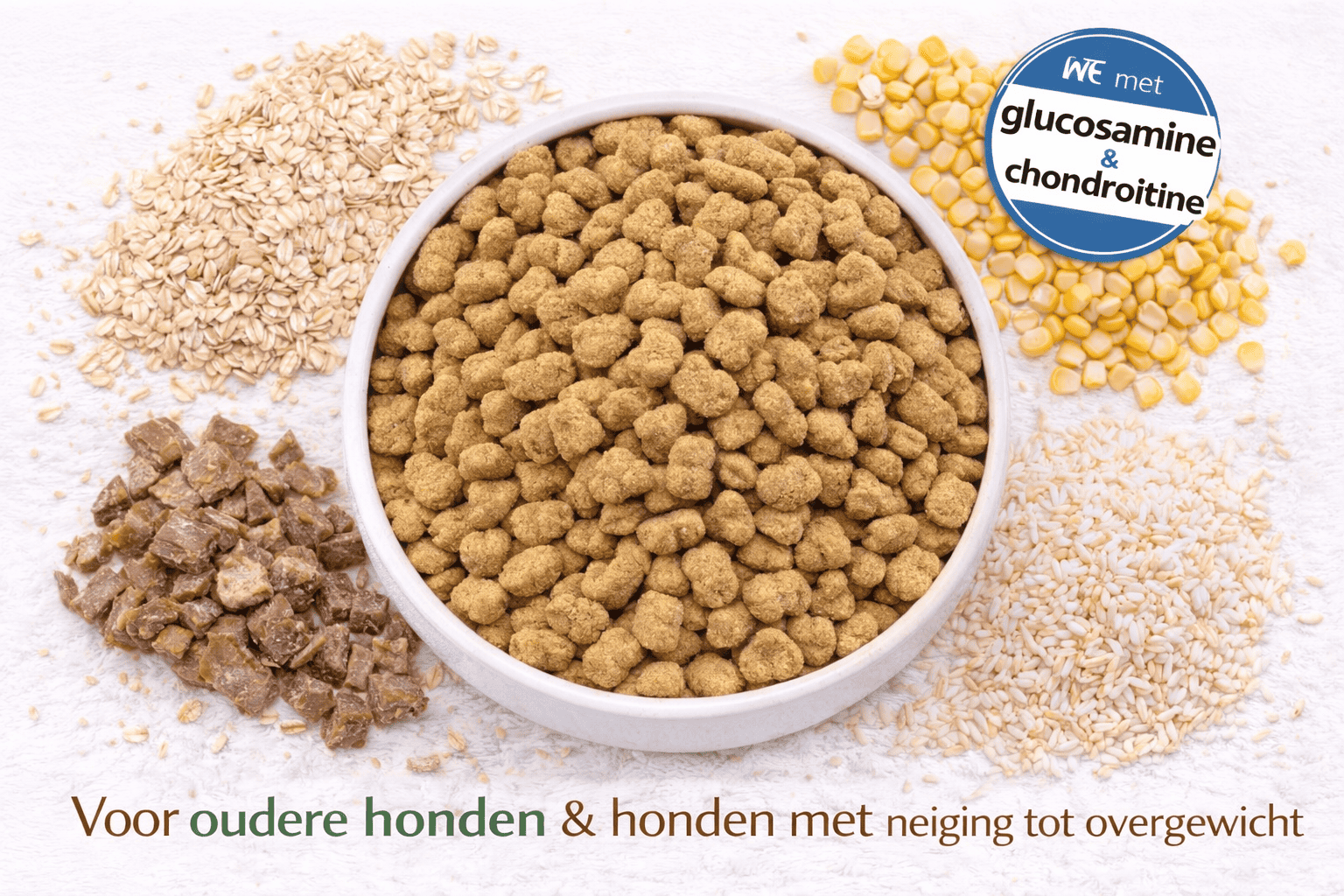 Complete Care Super Premium Senior/Light Lam & Rijst - 1kg TESTVERPAKKING