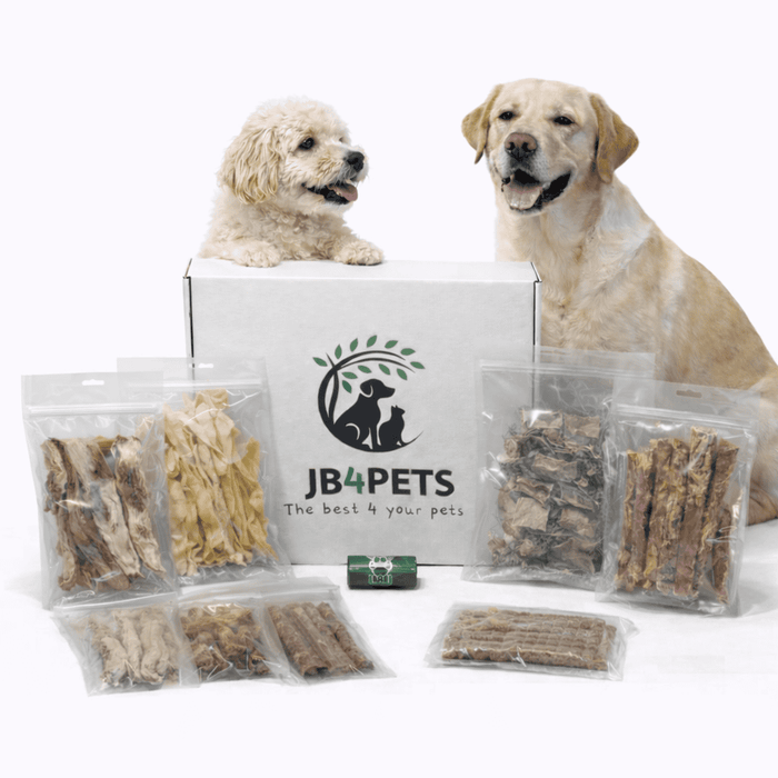 JB⁴PETS Hypoallergeen Essentials Box