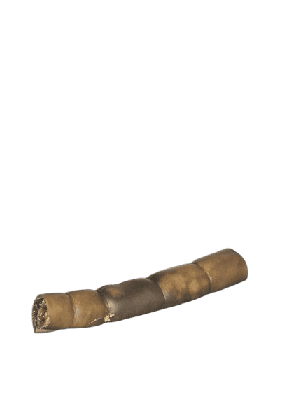 Kamelenkophuid rol  🐾👑 🦴🌱