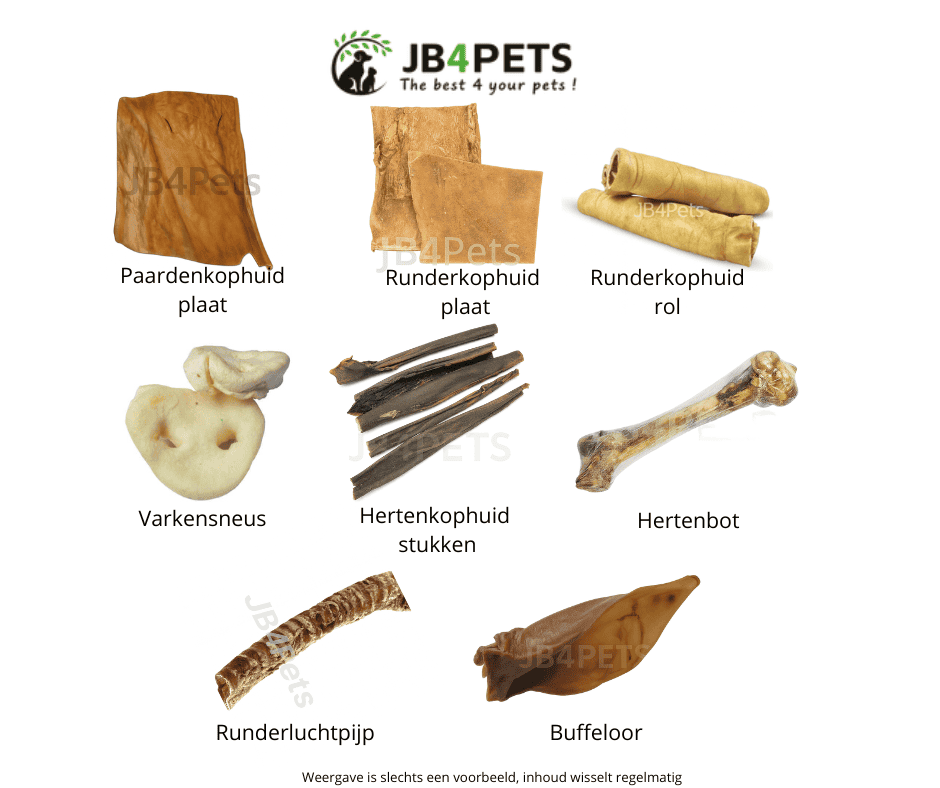 JB⁴PETS Large Chewer Essentials Box (25 kg en zwaarder)