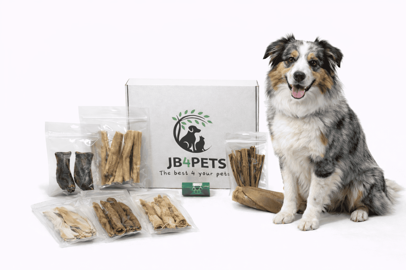 JB⁴PETS Medium Chewer Essentials Box (10–25 kg)