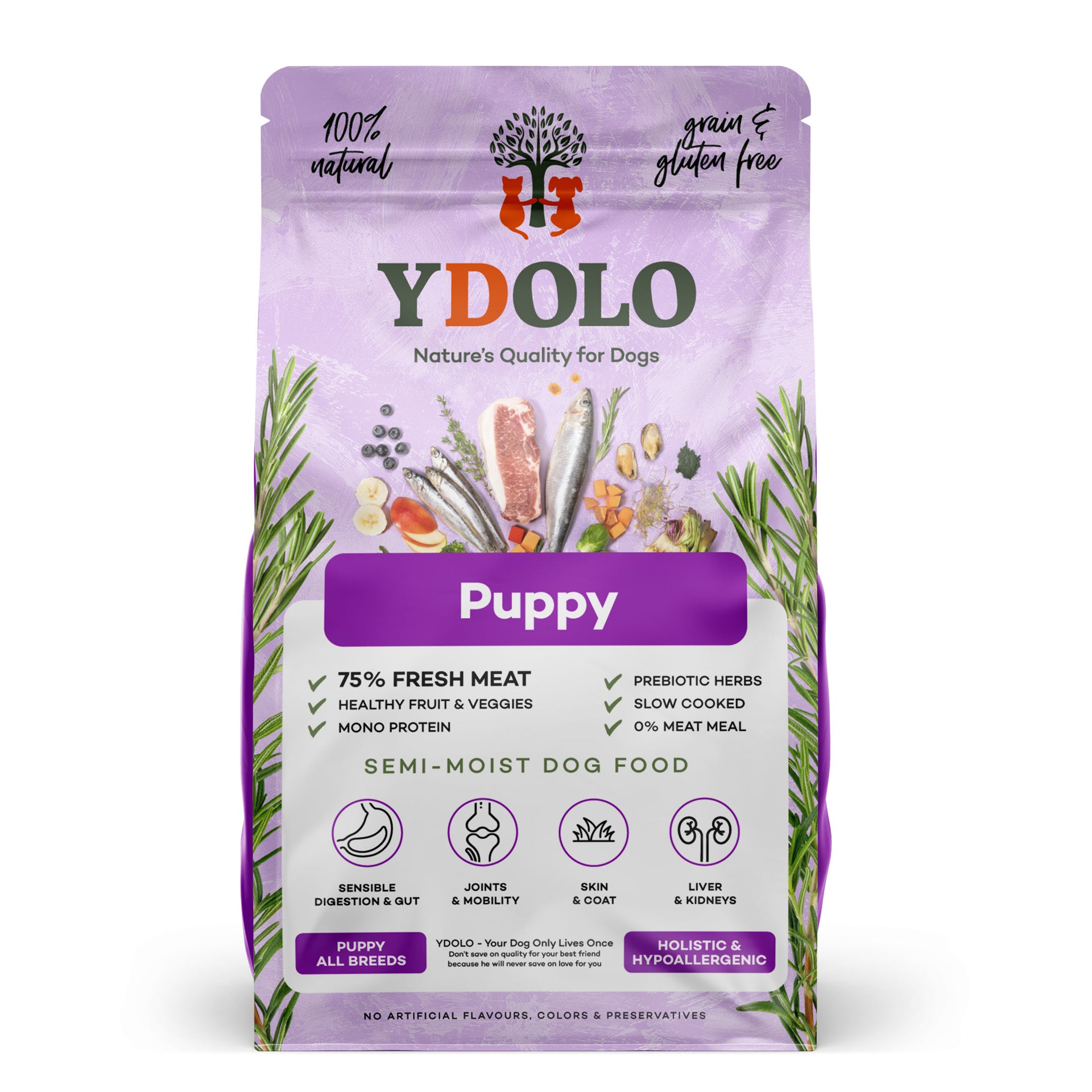 YDOLO Brokken Pure Puppy