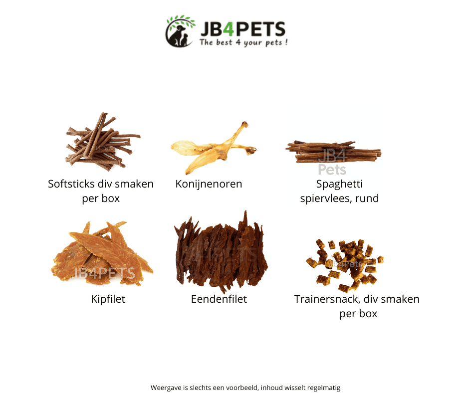 Puppy Essentials Box