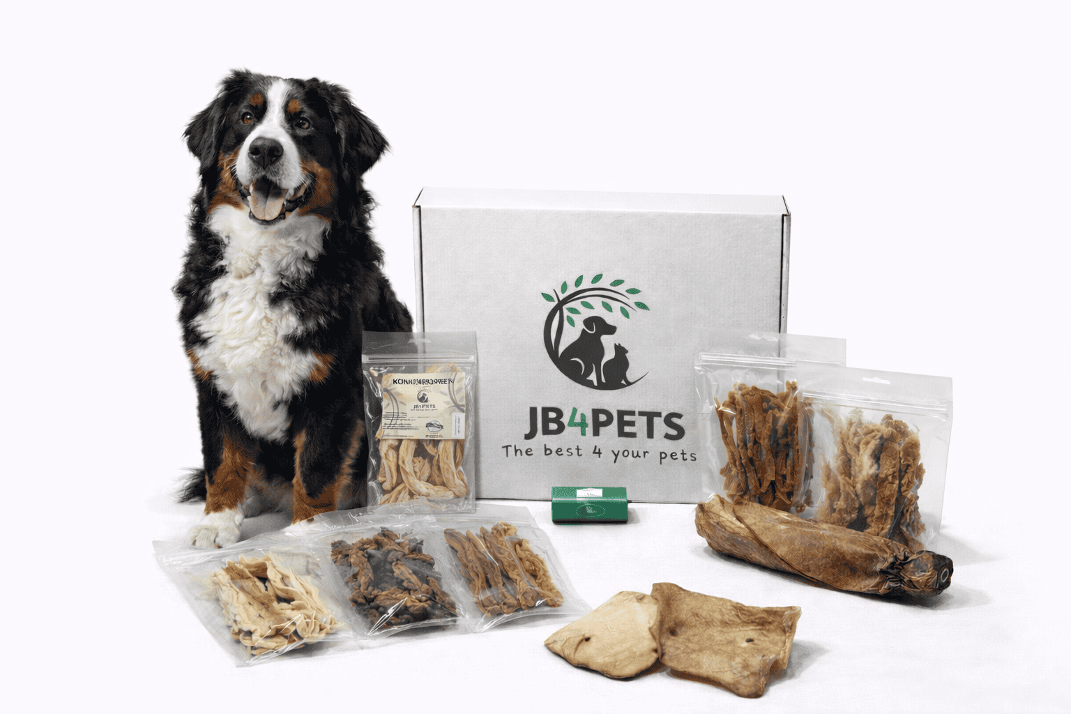 JB⁴PETS Senior Essentials Box, voor senior hond