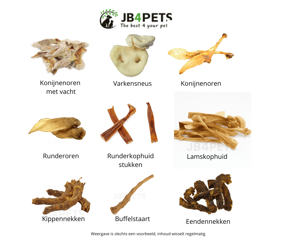 JB⁴PETS Small Chewer Essentials Box (tot ca. 10 kg)