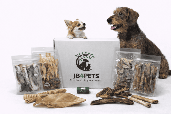 JB⁴PETS Small Chewer Essentials Box (tot ca. 10 kg)