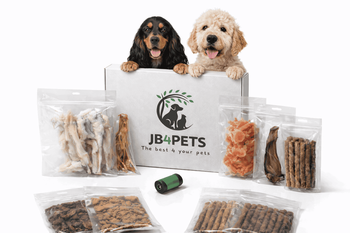 Snack Essentials Box (M/L) – voor honden vanaf 10 kg