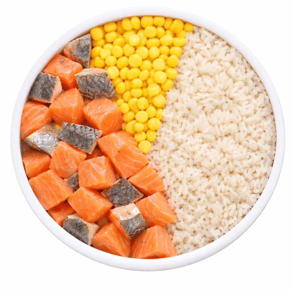 Super Premium Excellent Zalm & Rijst Geperst - 1kg TESTVERPAKKING