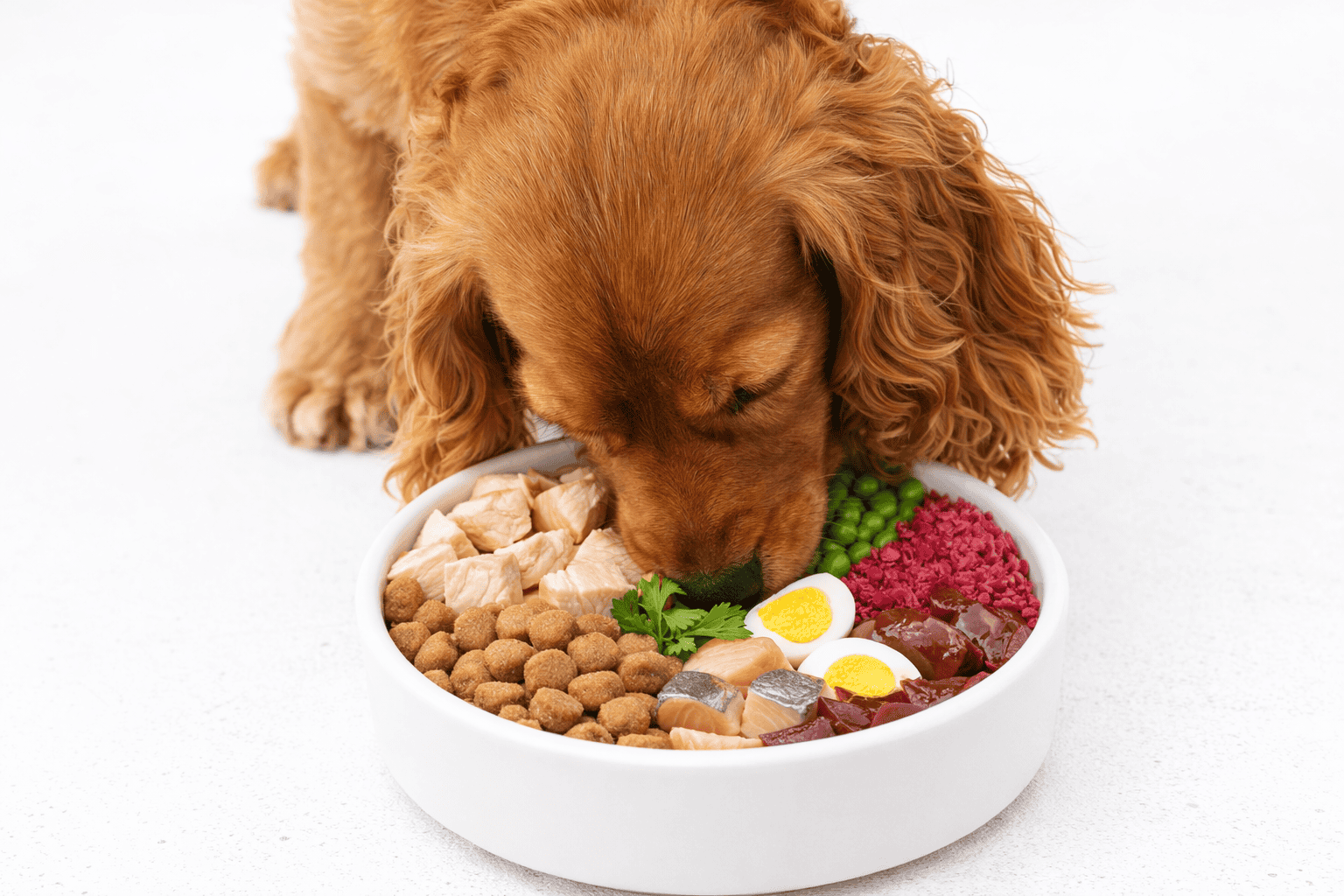 Super Premium Kip & Aardappel Graanvrij