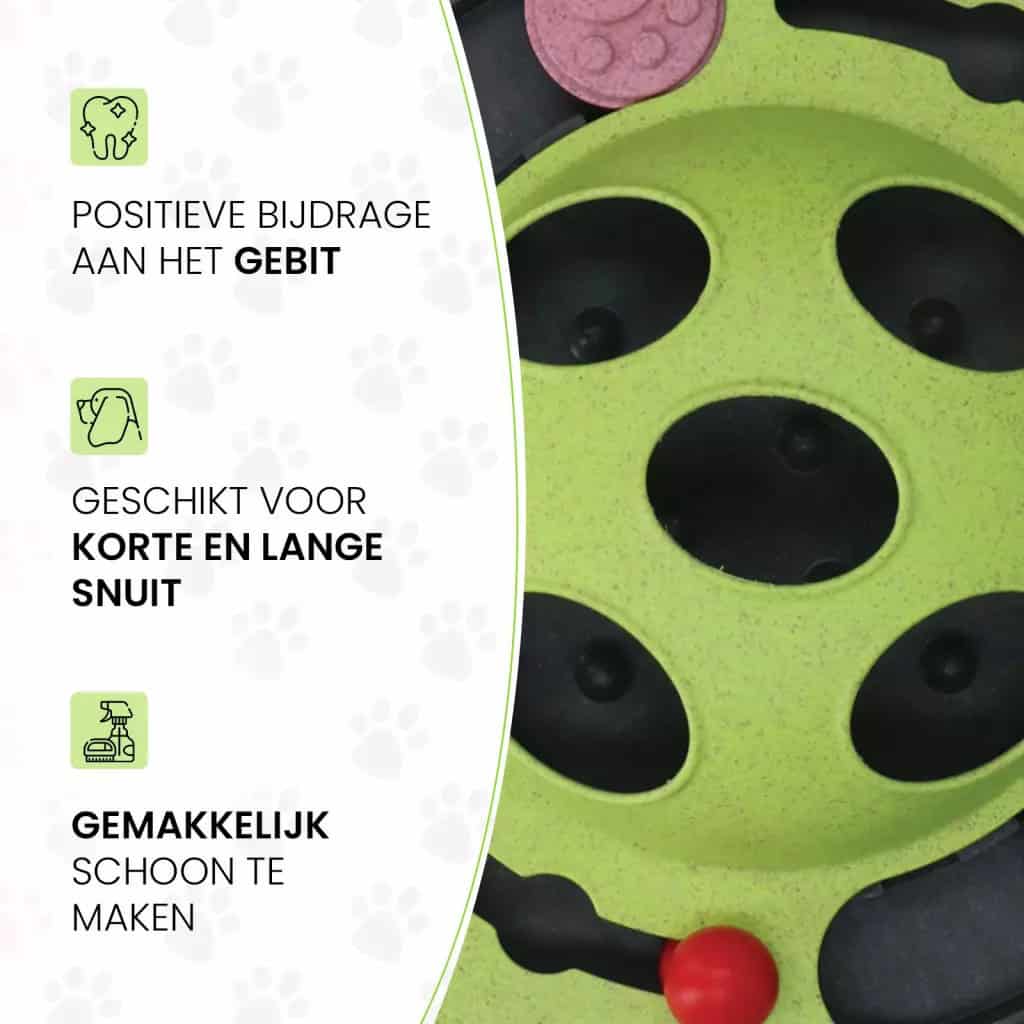 Eat Slow Live Longer Puzzle Beetle