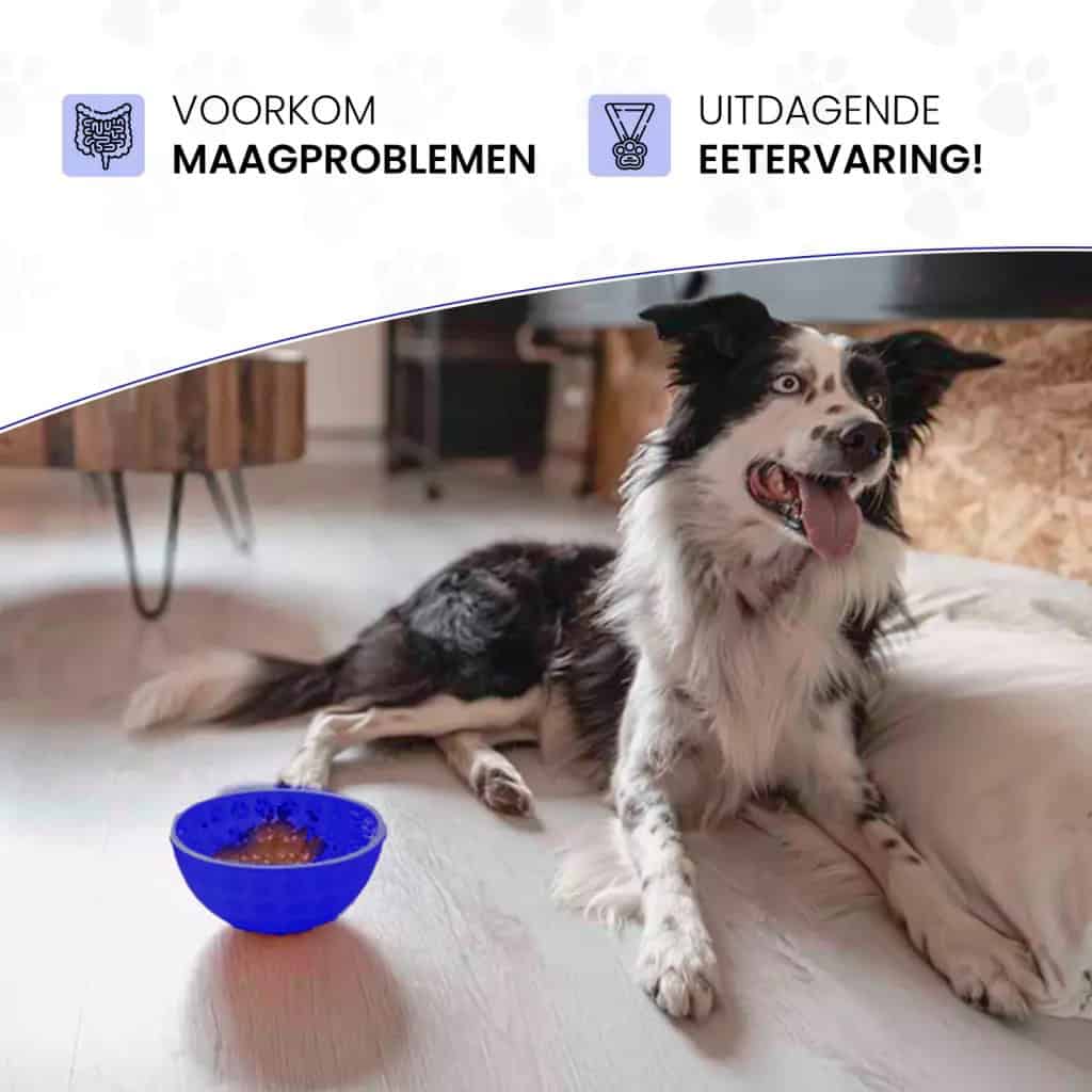 Eat Slow Live Longer Lick Mat Wobble Bowl Blauw
