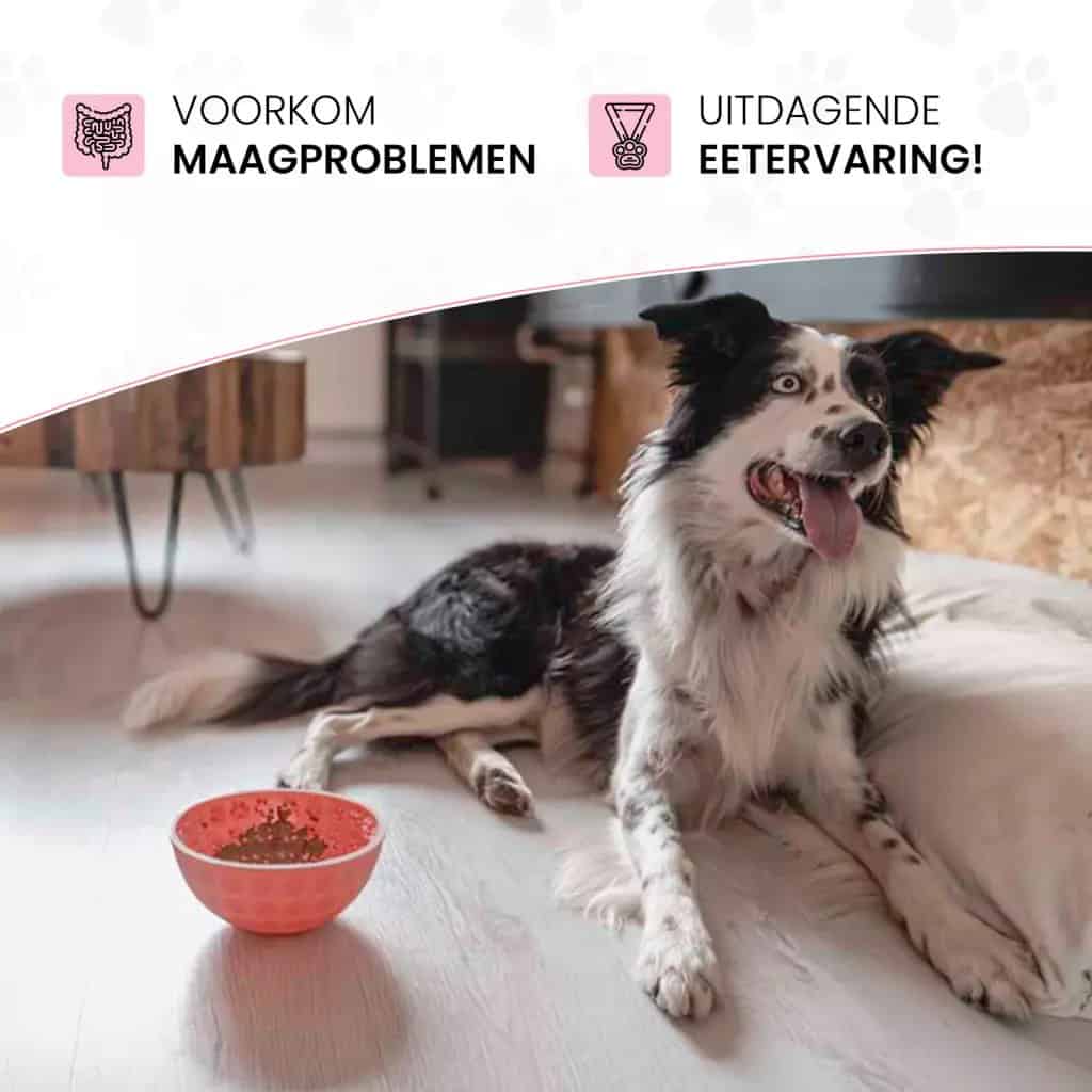 Eat Slow Live Longer Lick Mat Wobble Bowl Roze