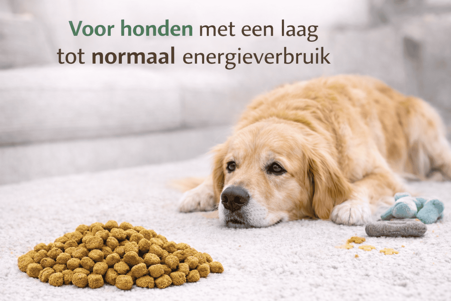 Complete Care Balanced Energy