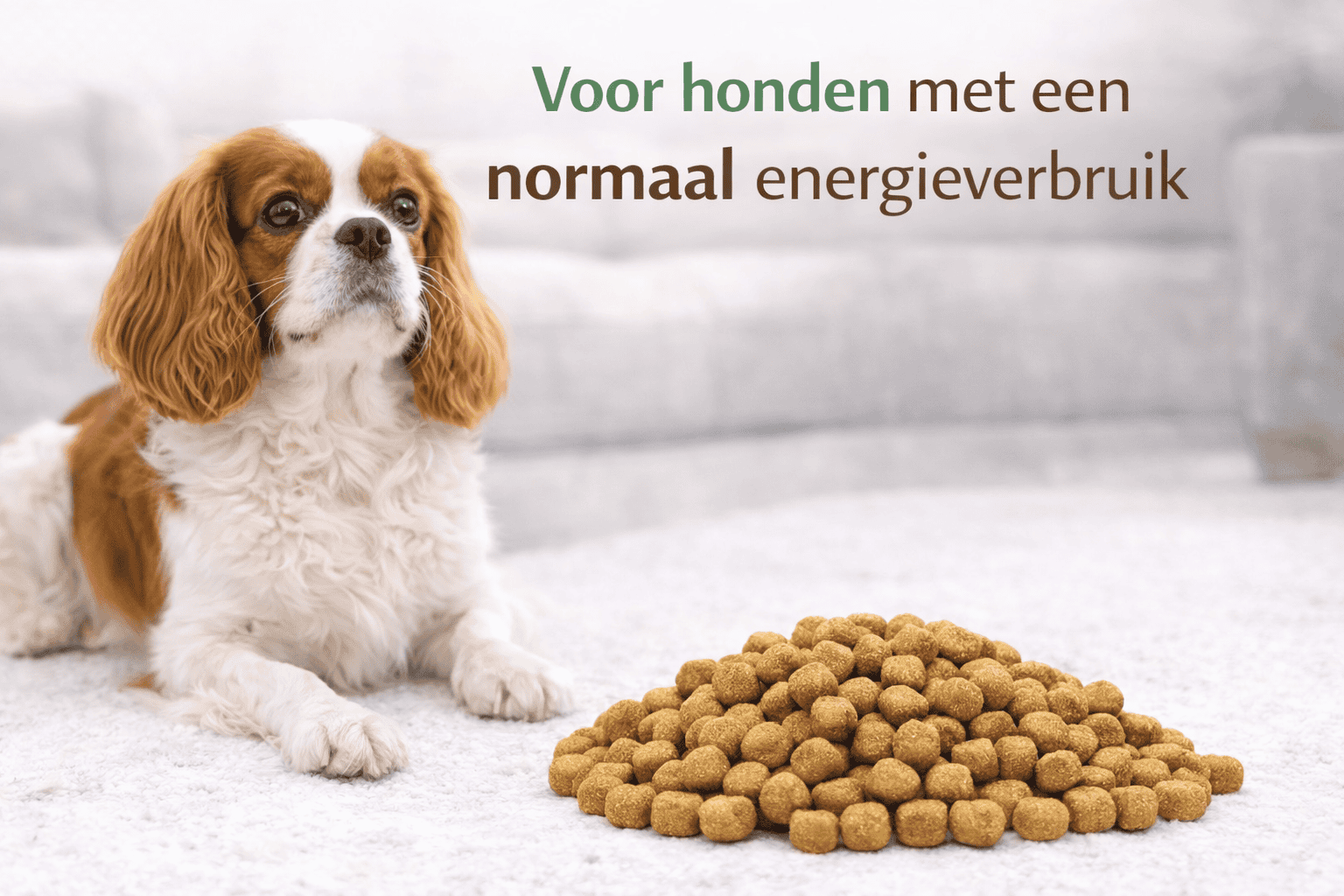 Complete Care Plus Balanced Energy