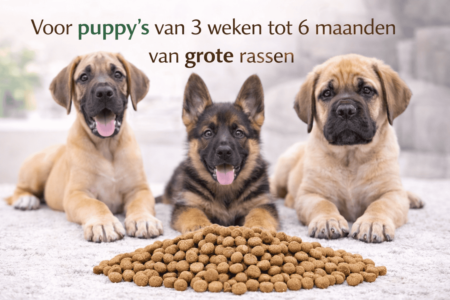 Complete Care Premium Puppy Grote Rassen