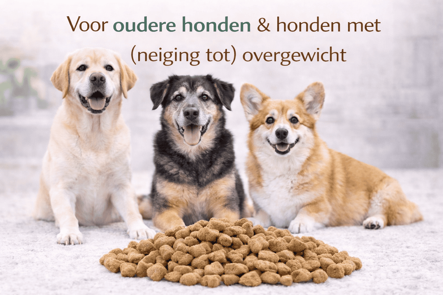 Complete Care Senior/Light