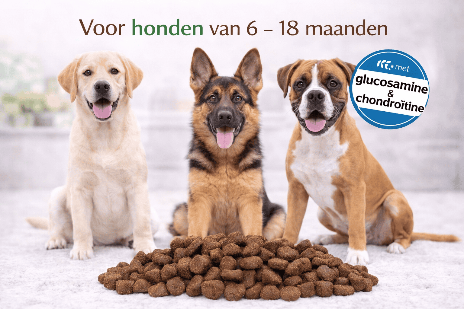 Junior Complete Care Super Premium