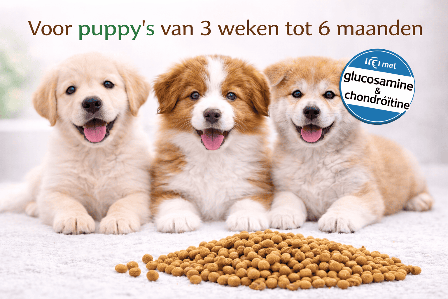 Puppy Complete Care Super Premium - 1kg TESTVERPAKKING