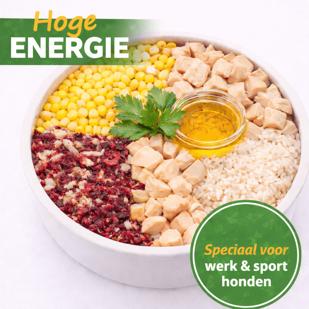 Complete Care Super Premium Hoge Energie