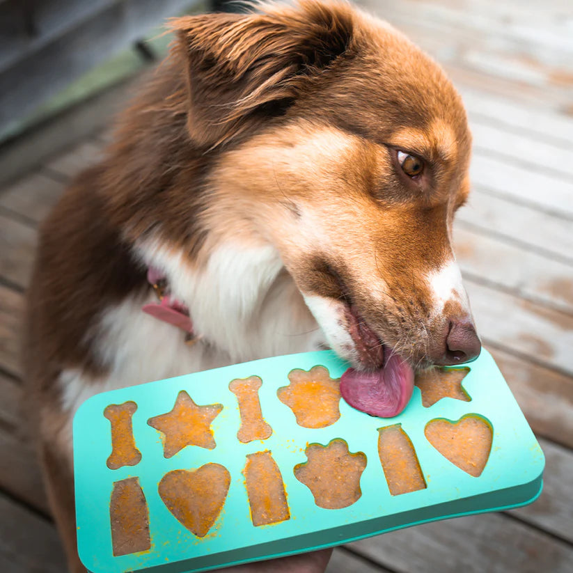 Smoothie dog - Ijsblokjes vorm