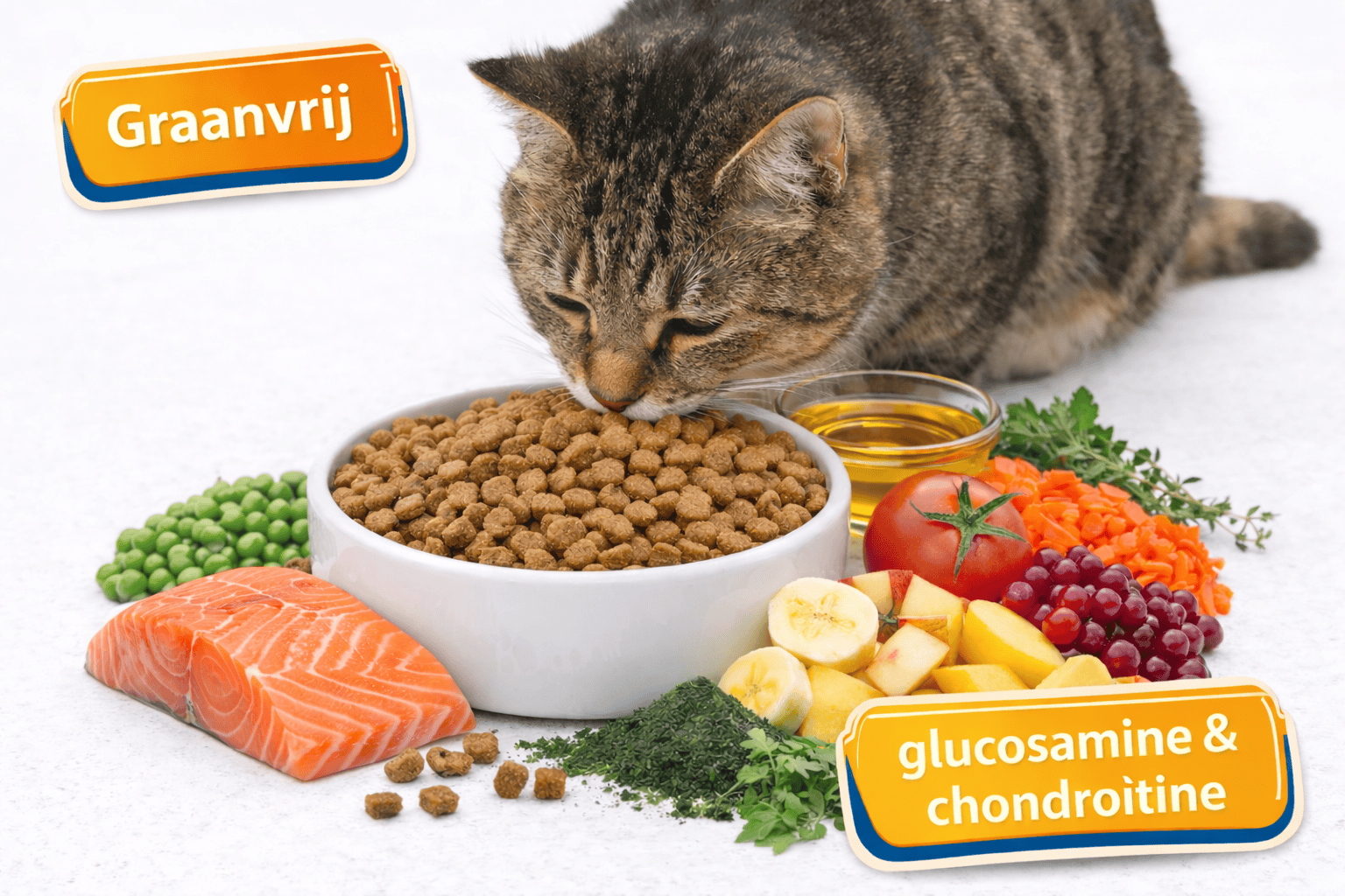 Complete Care Premium Kat Graanvrij Zalm