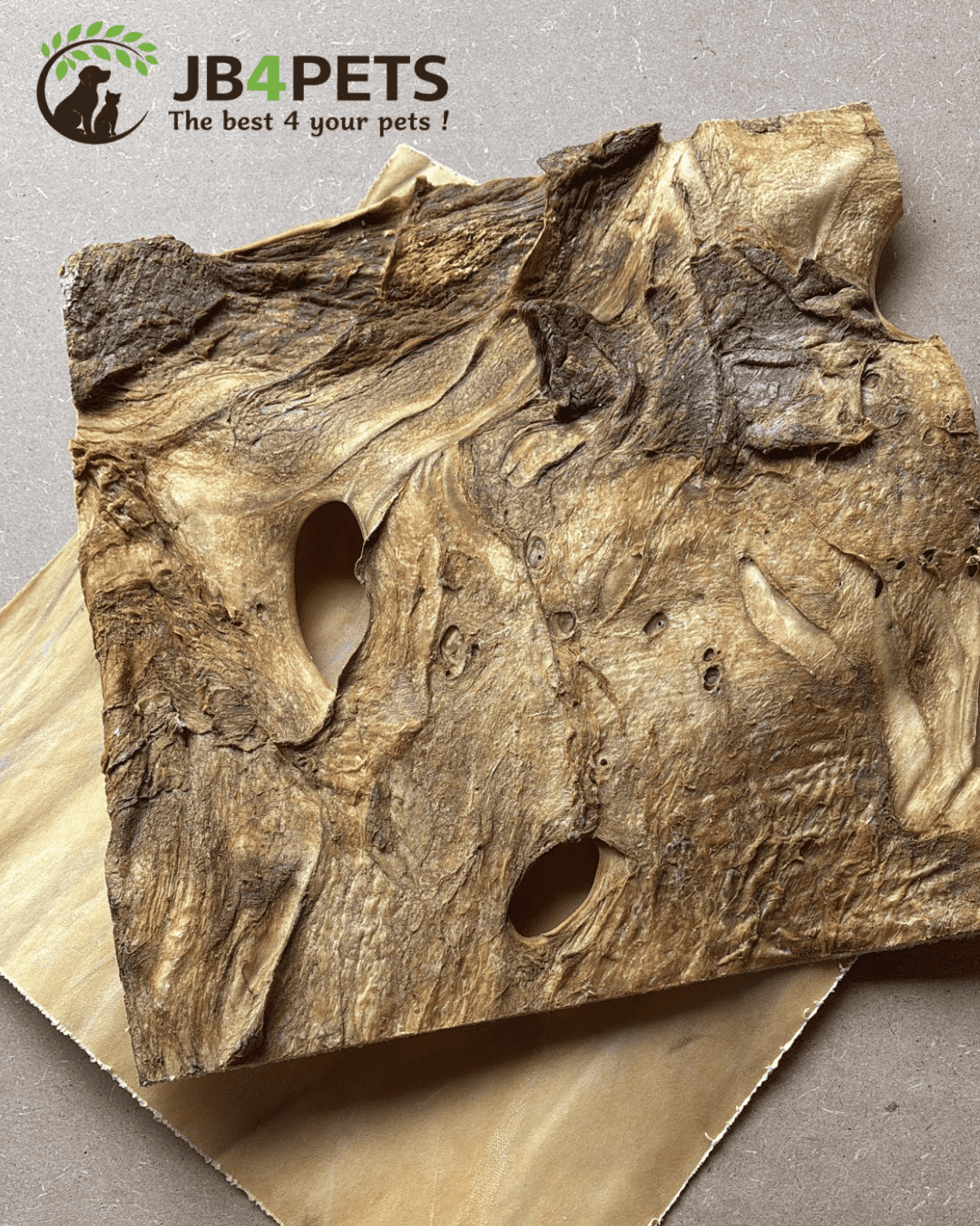 Paard kophuid plaat XL 500gr