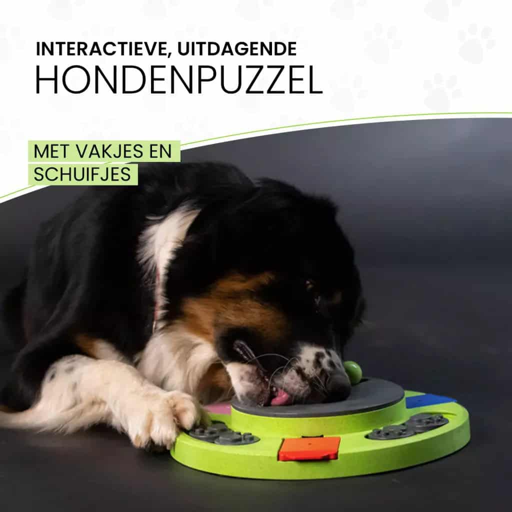 Eat Slow Live Longer Puzzle Circle