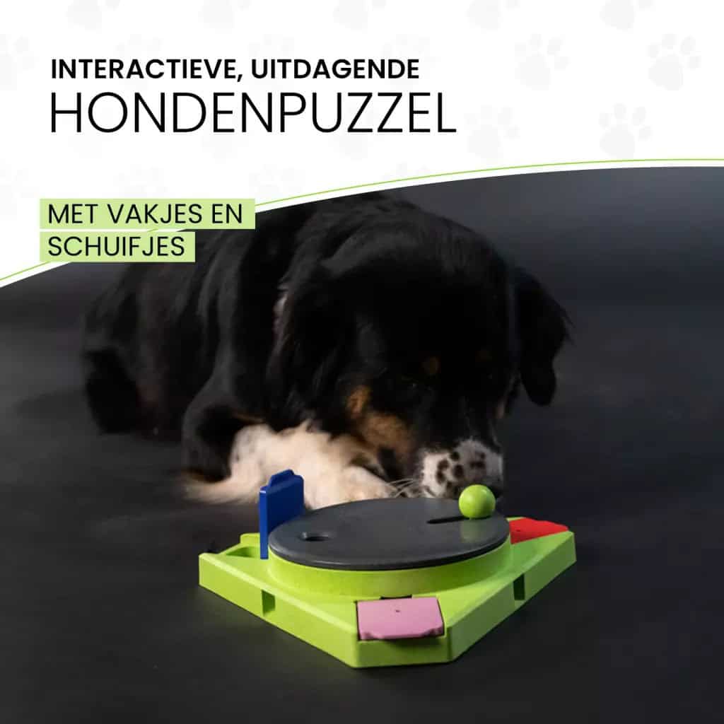 Eat Slow Live Longer Puzzle Triangle