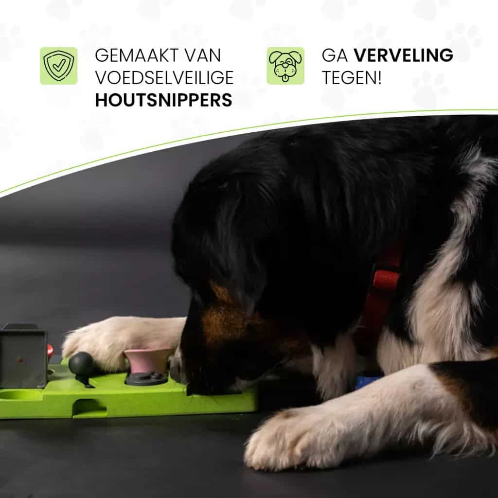 Eat Slow Live Longer Puzzle Triangle