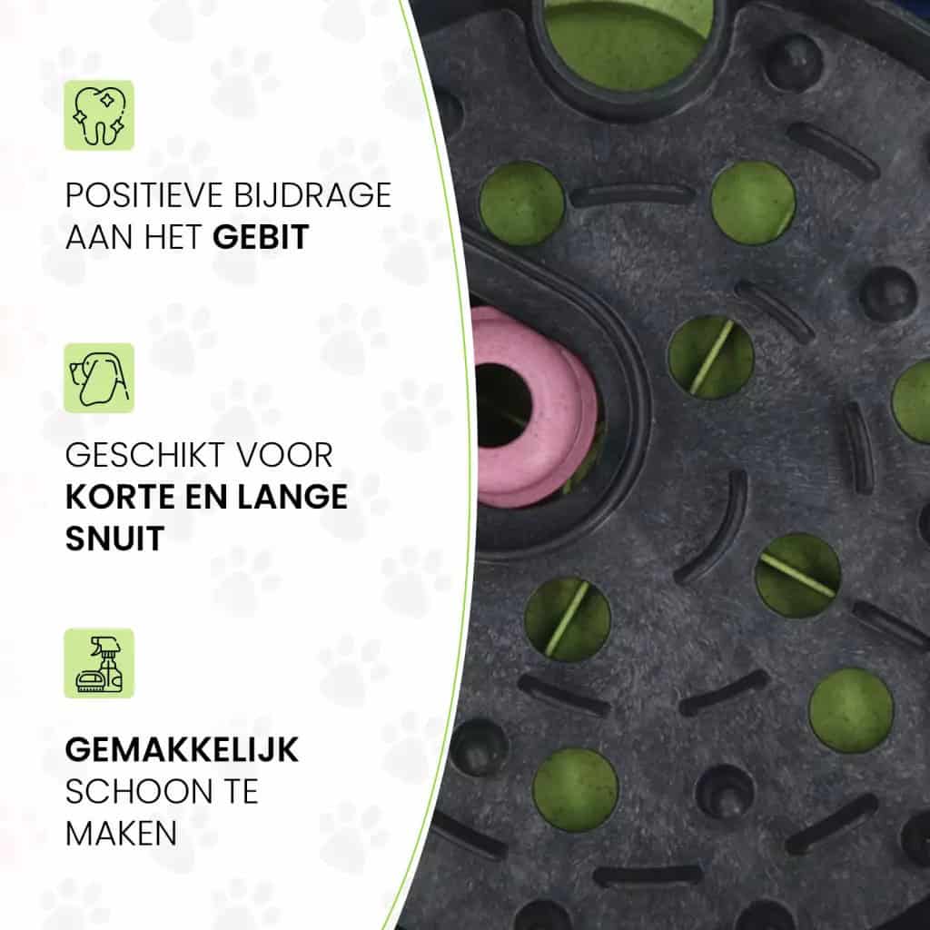 Eat Slow Live Longer Puzzle Roundabout