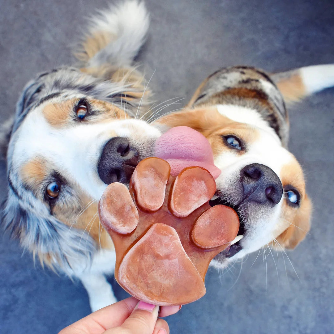 Smoothie dog ijsjesvom