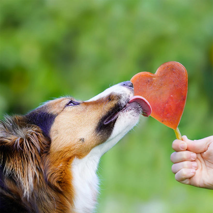 Smoothie dog ijsjesvom